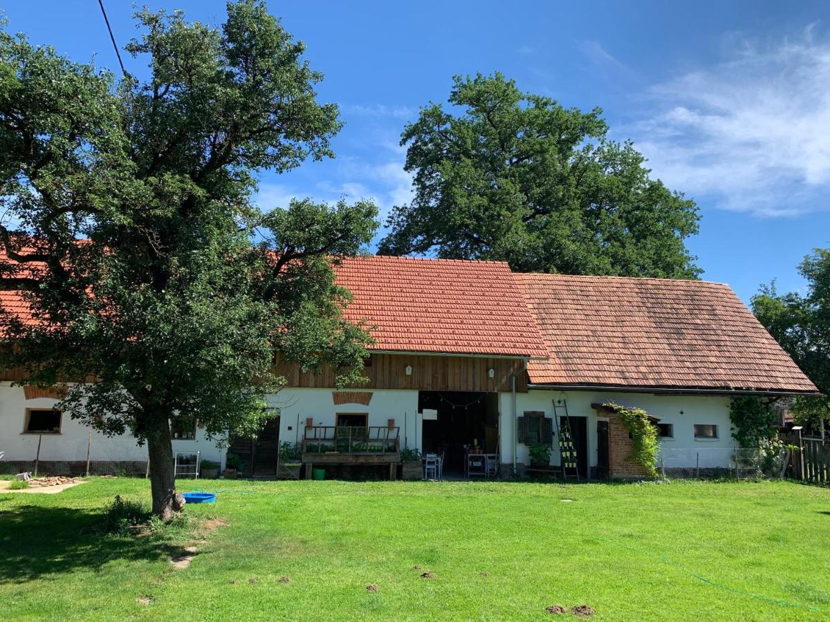Kellerstoeckl Am Veganen Bio-Lebenshof "Varm - Die Vegane Farm" Sulb Exterior foto